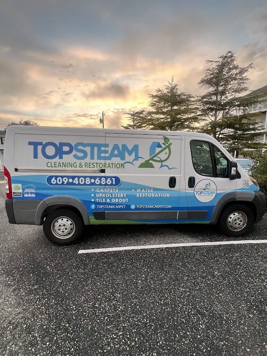 TopSteam Carpet, Upholstery, Tile & Grout Cleaning LLC Picture 9