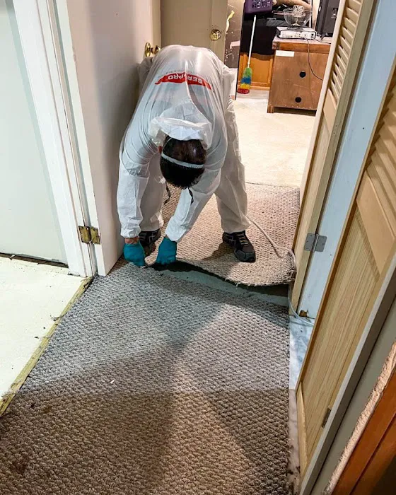 SERVPRO of Ozone Park Picture 9