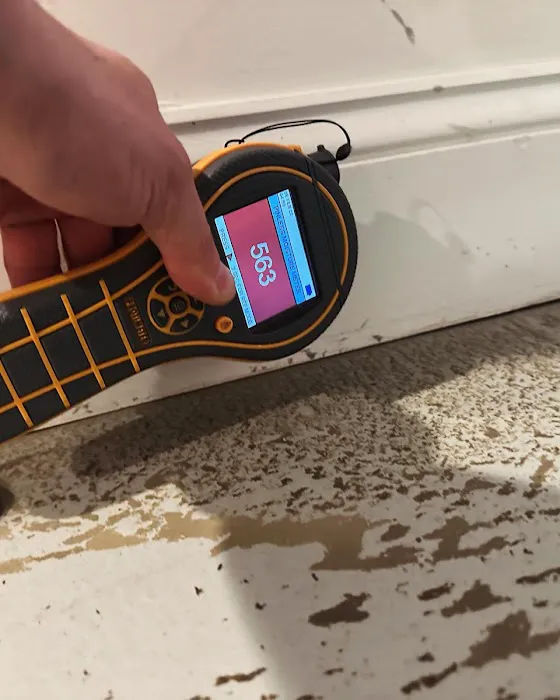 Aqualift Mold Removal Picture 5