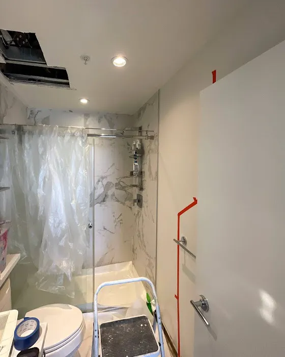 Aqualift Mold Removal Picture 2