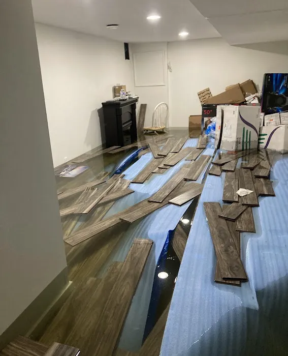 Aqualift Mold Removal Picture 7