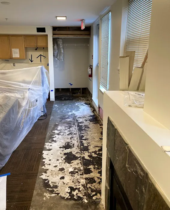 Aqualift Mold Removal Picture 6