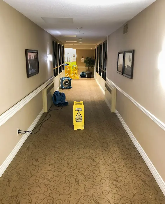 Aqualift Mold Removal Picture 9