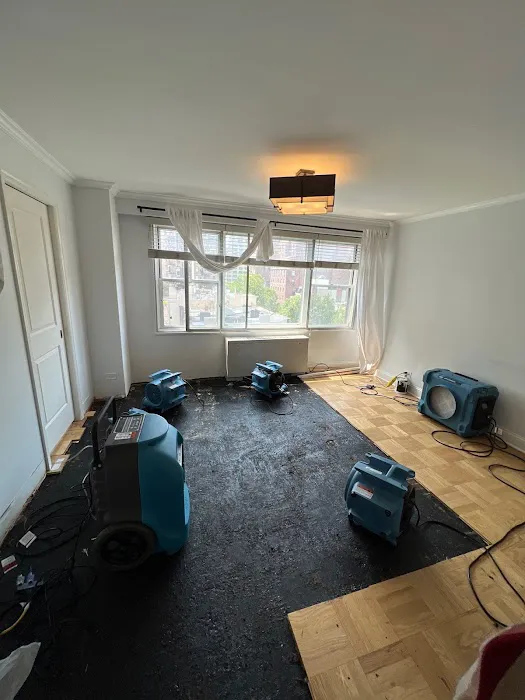 Promore Restoration Services Inc Picture 1