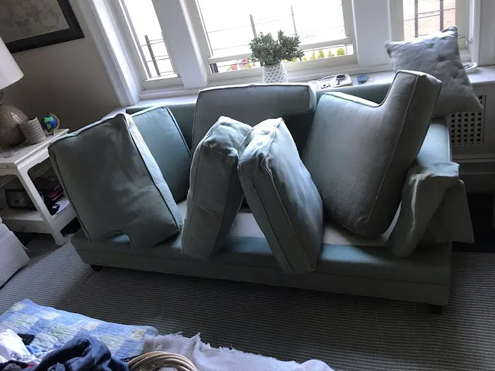 Fantastic Carpet Cleaning NYC Picture 1