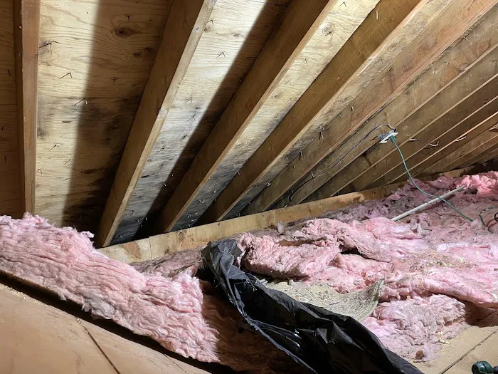 Healthy Homes of the Capital Region Picture 1