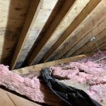 Healthy Homes of the Capital Region