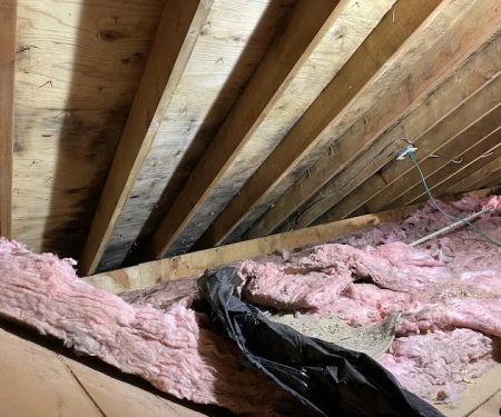 Healthy Homes of the Capital Region