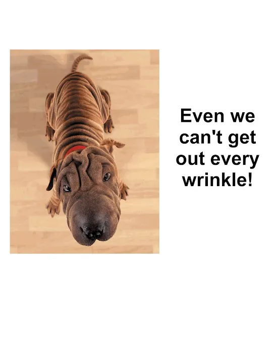 Best Cleaners Picture 2