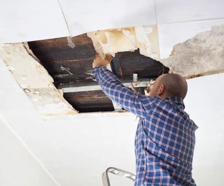 Star5 Water & Fire Restoration