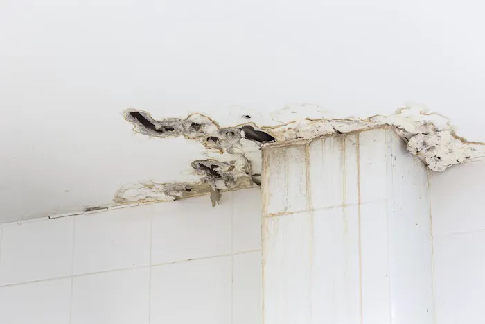 Star5 Water & Fire Restoration Picture 4