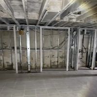 DR. Mold Removal ico