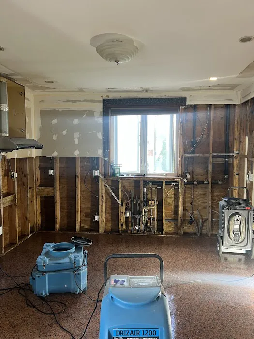 DR. Mold Removal Picture 7