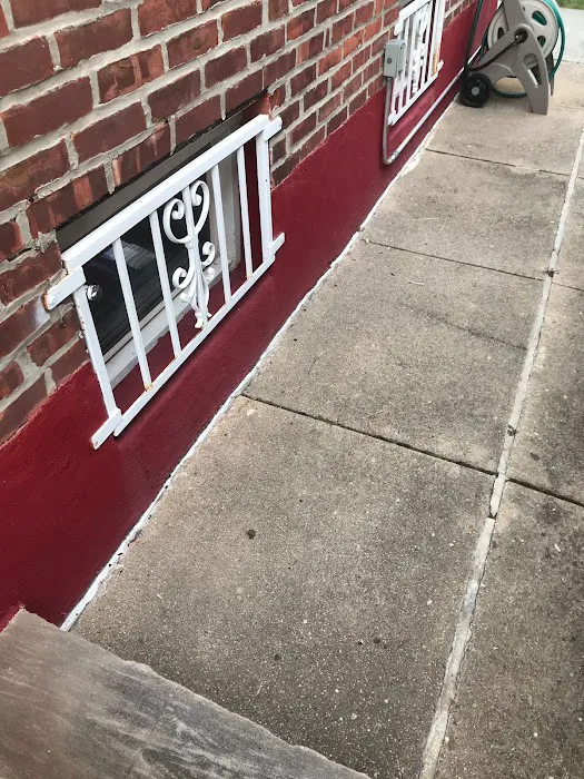 DR. Mold Removal Picture 8