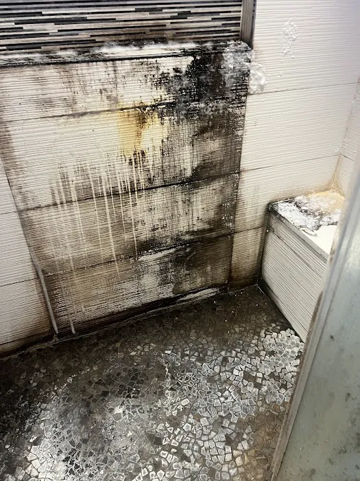 DR. Mold Removal Picture 6