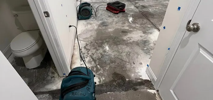 DLK Clear Stream Water Restoration Picture 9