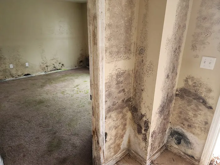 DLK Clear Stream Water Restoration Picture 4