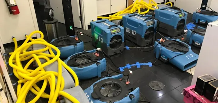 DLK Clear Stream Water Restoration Picture 5