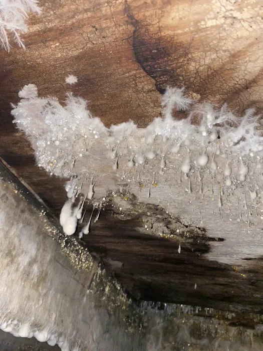 DLK Clear Stream Water Restoration Picture 10