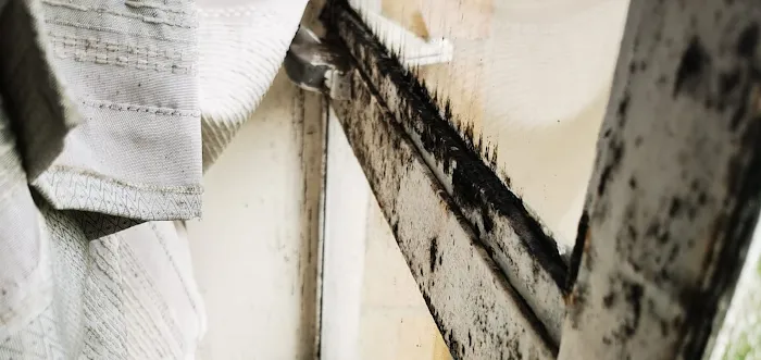 DLK Clear Stream Water Restoration Picture 6