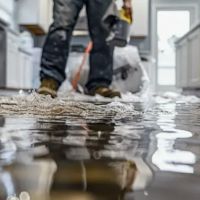 GO GREEN WATER DAMAGE RESTORATION PASADENA ico