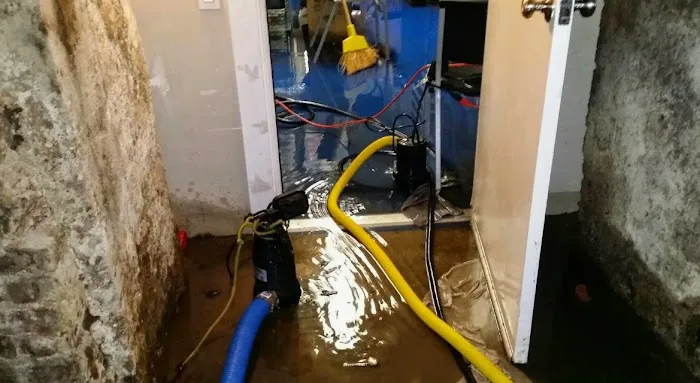 GO GREEN WATER DAMAGE RESTORATION PASADENA Picture 2