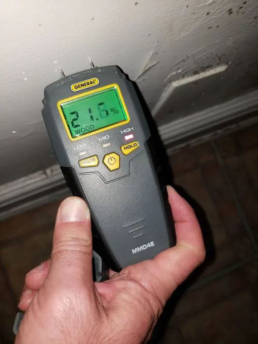 SOS Mold Removal Queens Picture 2