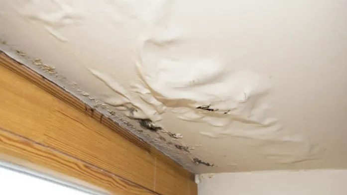 SOS Mold Removal Queens Picture 4