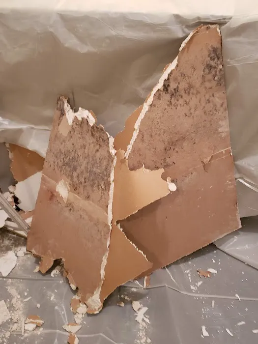 SOS Mold Removal Queens Picture 10