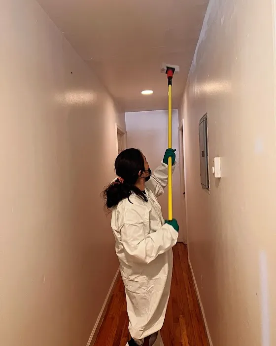 Imperial Restoration Picture 1