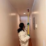 Imperial Restoration