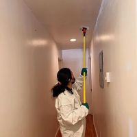 Imperial Restoration ico