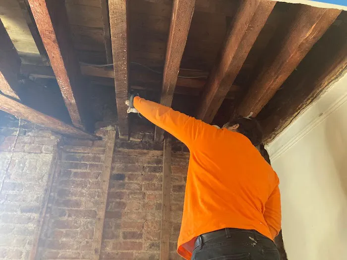 Imperial Restoration Picture 4