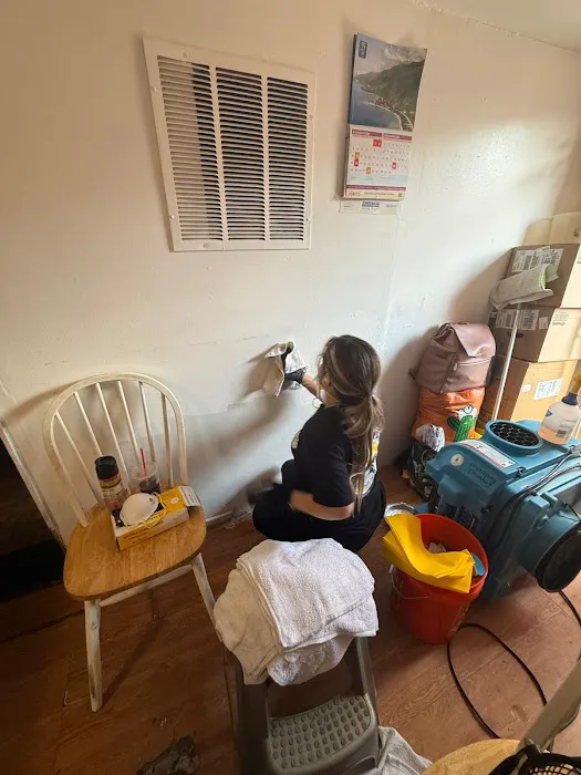 Imperial Restoration Picture 3