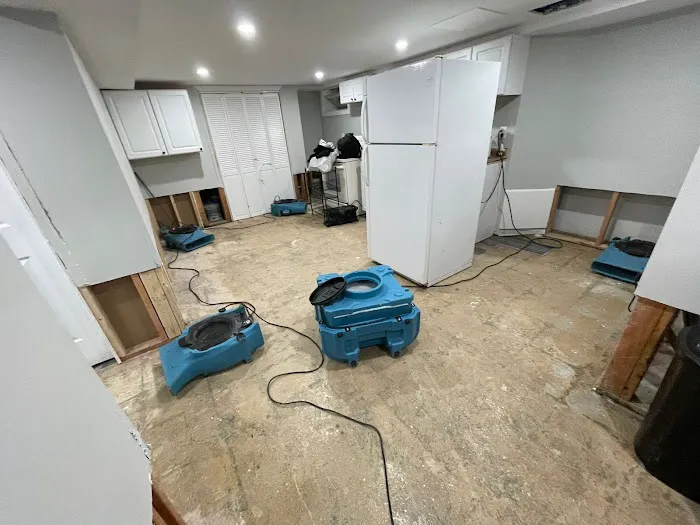 Imperial Restoration Picture 6