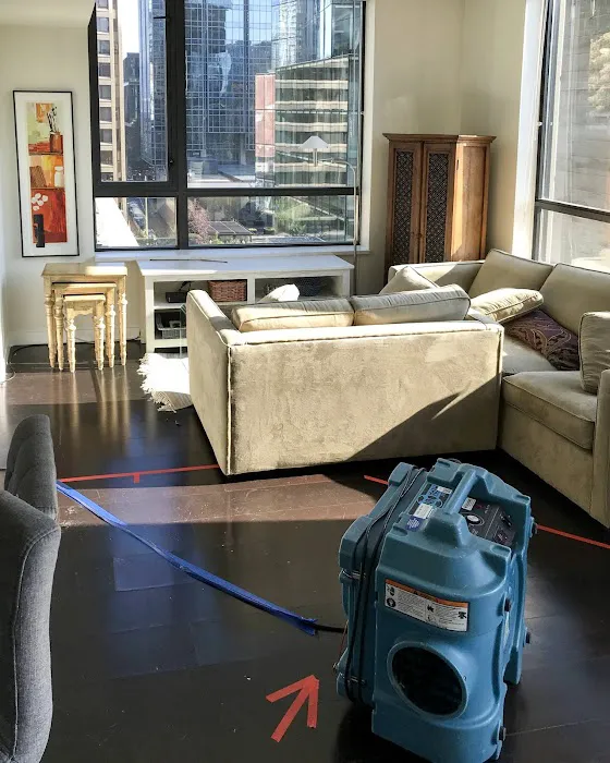 Que Mold Pro Inspector Picture 2