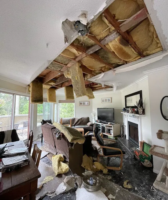 Que Mold Pro Inspector Picture 4