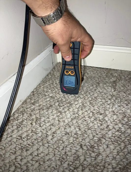 Que Mold Pro Inspector Picture 5