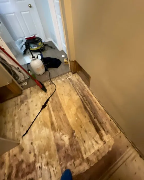 Que Mold Pro Inspector Picture 3