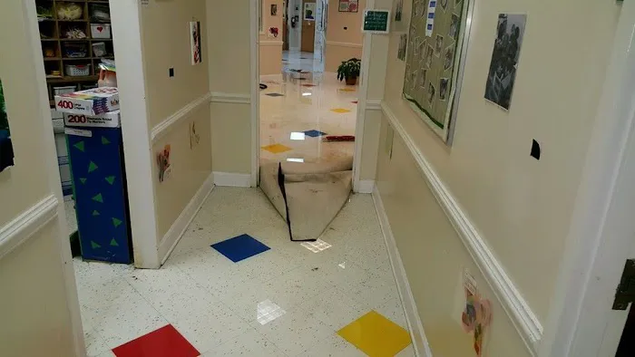 Que Mold Pro Inspector Picture 6