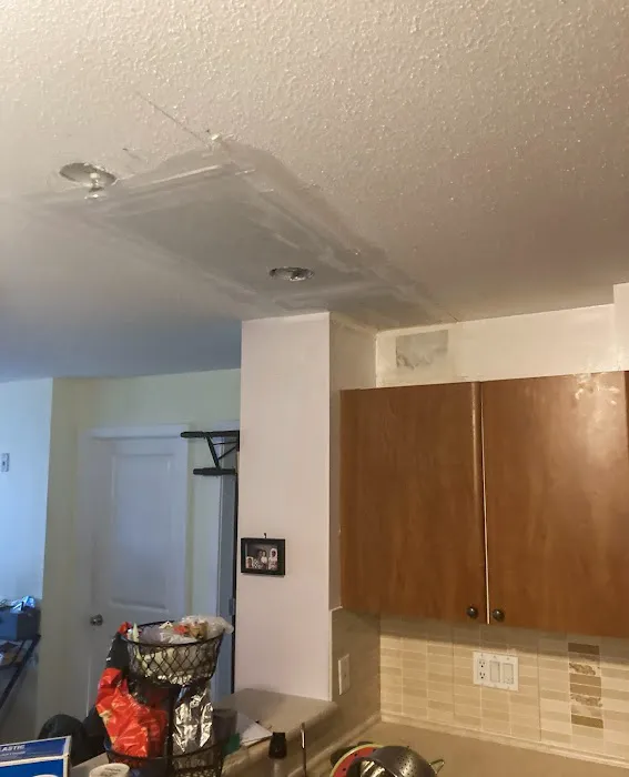 Que Mold Pro Inspector Picture 7