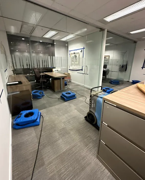 Que Mold Pro Inspector Picture 10