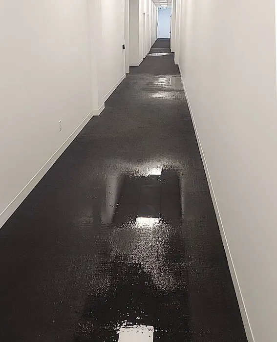 Que Mold Pro Inspector Picture 9