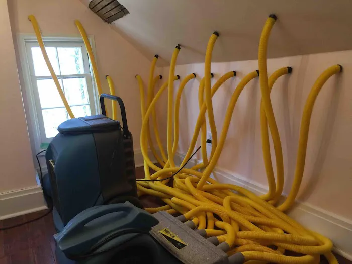 Red Star Restoration Picture 10