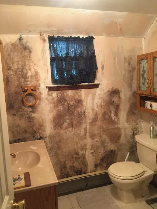 Red Star Restoration Picture 4