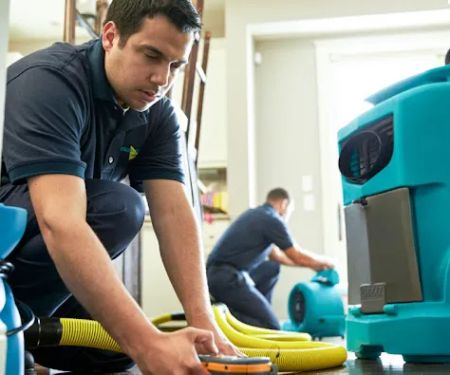 ServiceMaster Restoration Services - New Haven County