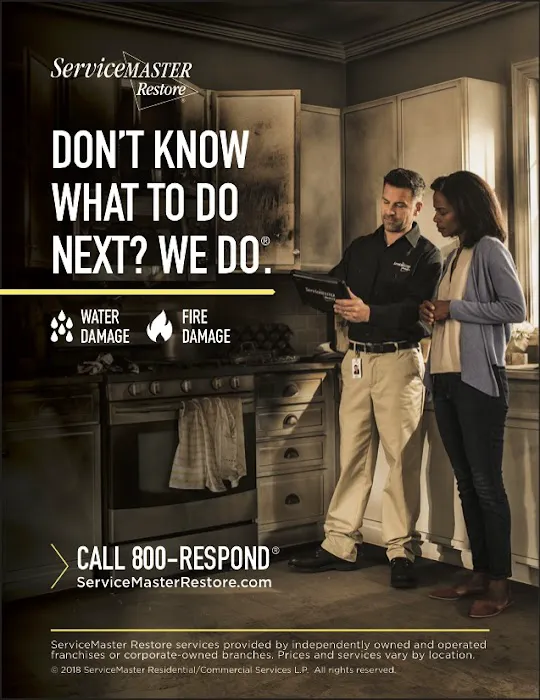 ServiceMaster Restoration Services - New Haven County Picture 2