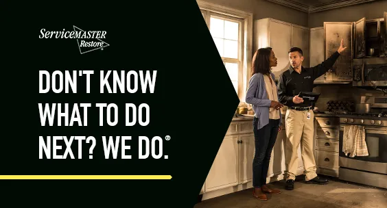 ServiceMaster Restoration Services - New Haven County Picture 3