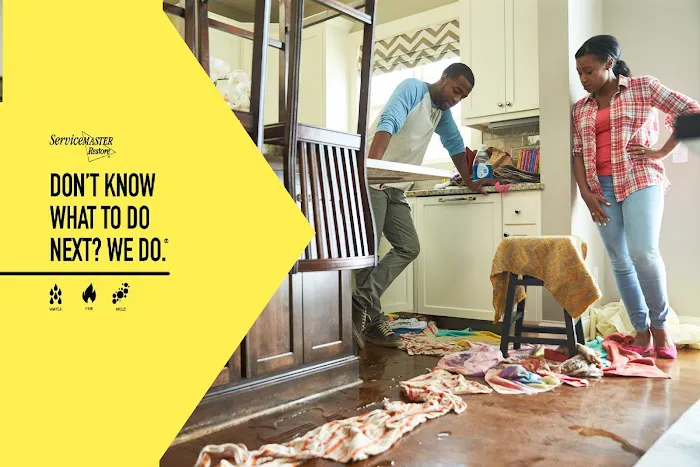 ServiceMaster Restoration Services - New Haven County Picture 8