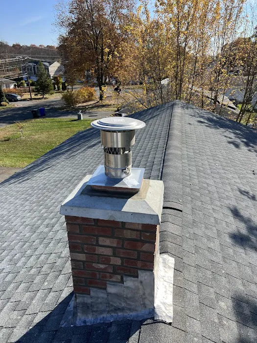 S&V MASONRY COMPLETE CHIMNEY SERVICE LLC Picture 9